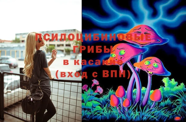 дурь Горнозаводск